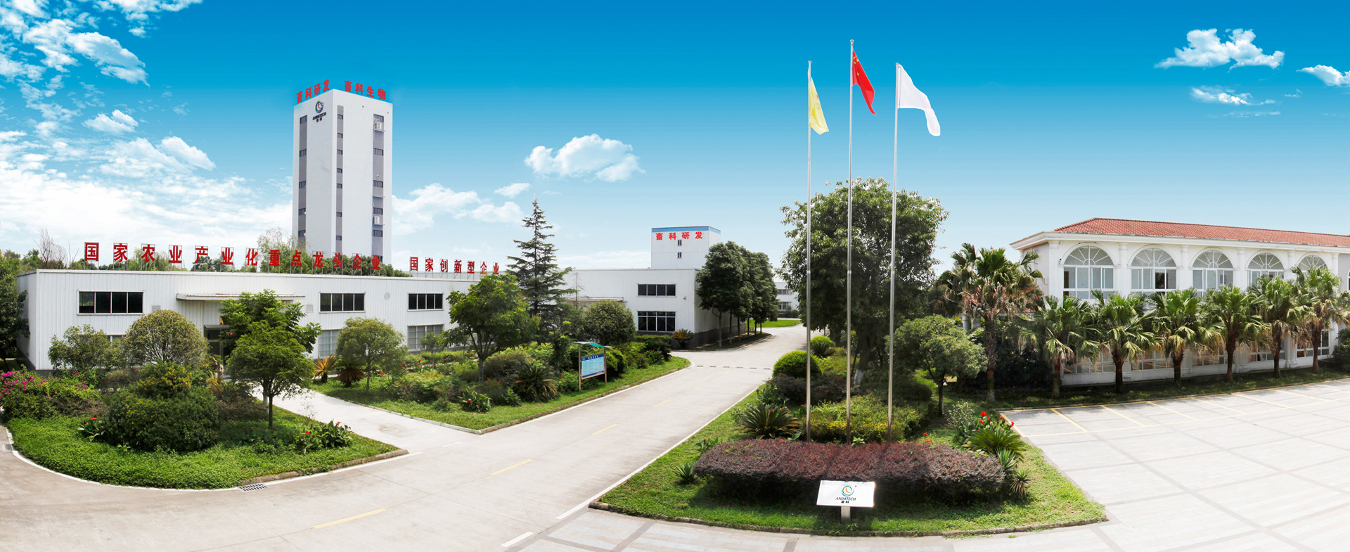 鲍勃体育最新版