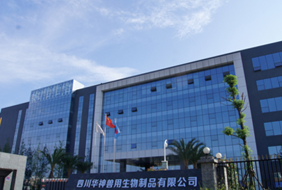 bob手机网页登录入口:小李获赠玫瑰金人 莱昂纳多摇身变网红